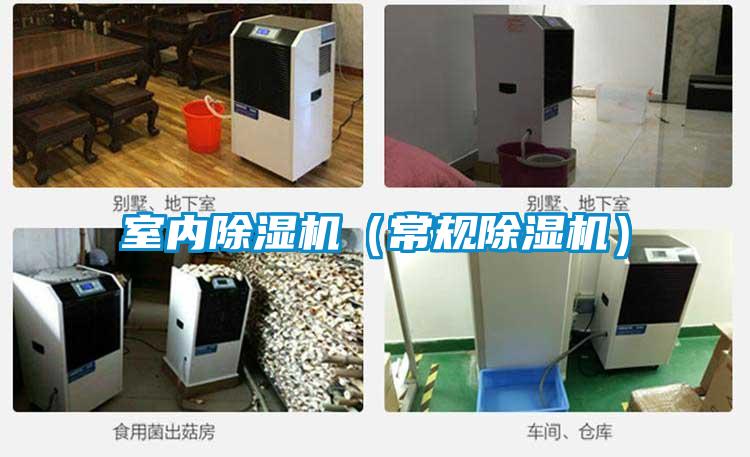 室內除濕機（常規除濕機）