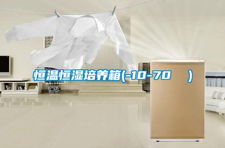 恒溫恒濕培養箱(-10-70 ℃）