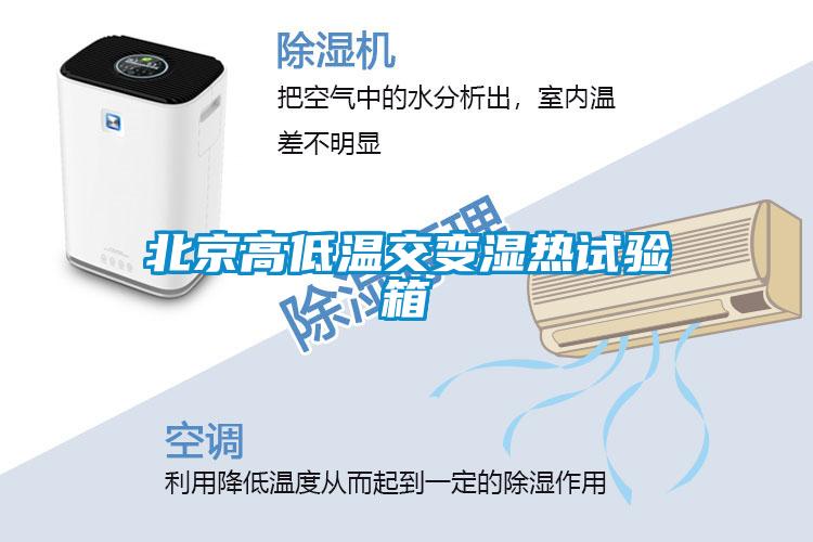 北京高低溫交變濕熱試驗箱