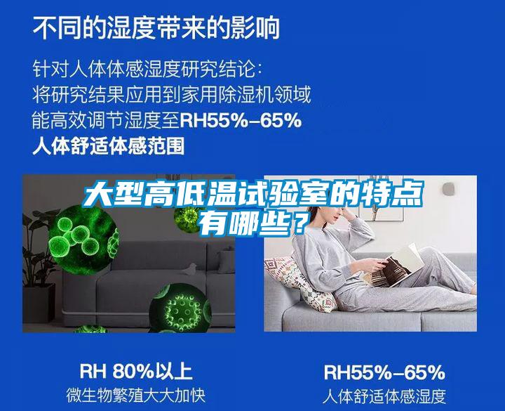 大型高低溫試驗(yàn)室的特點(diǎn)有哪些？
