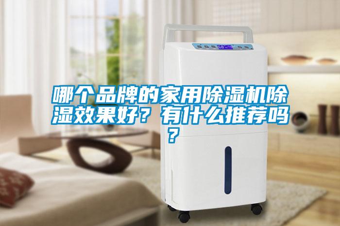 哪個(gè)品牌的家用除濕機(jī)除濕效果好？有什么推薦嗎？