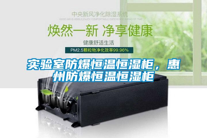 實驗室防爆恒溫恒濕柜，惠州防爆恒溫恒濕柜