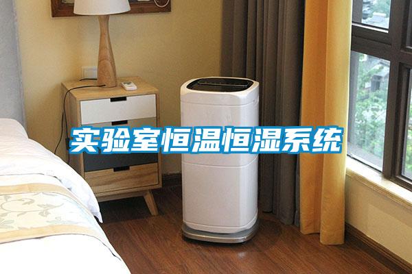 實驗室恒溫恒濕系統