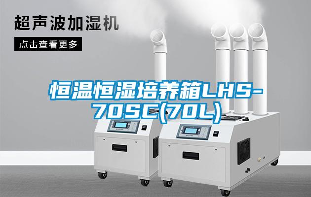 恒溫恒濕培養箱LHS-70SC(70L)