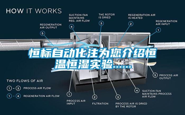 恒標自動化注為您介紹恒溫恒濕實驗......
