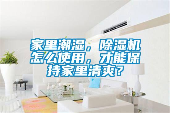 家里潮濕，除濕機怎么使用，才能保持家里清爽？