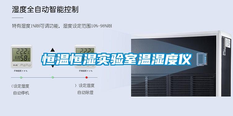 恒溫恒濕實驗室溫濕度儀