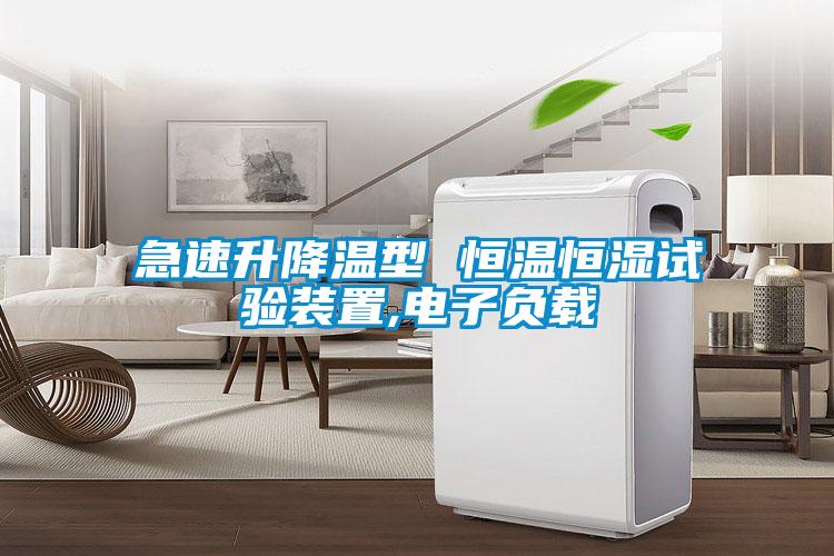 急速升降溫型 恒溫恒濕試驗(yàn)裝置,電子負(fù)載