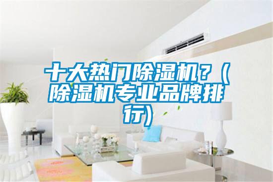 十大熱門除濕機？(除濕機專業品牌排行)