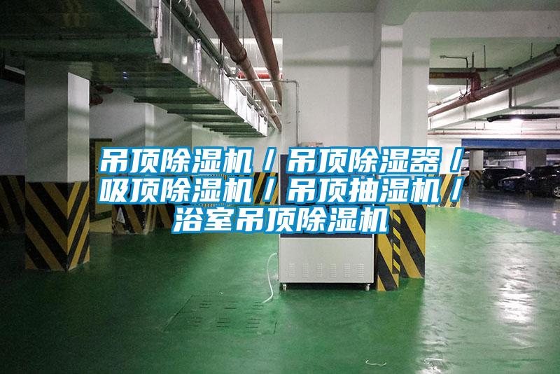 吊頂除濕機／吊頂除濕器／吸頂除濕機／吊頂抽濕機／浴室吊頂除濕機