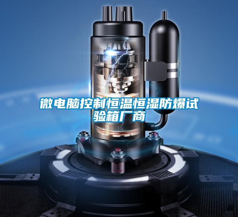 微電腦控制恒溫恒濕防爆試驗箱廠商