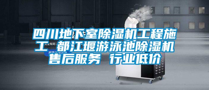 四川地下室除濕機(jī)工程施工 都江堰游泳池除濕機(jī)售后服務(wù) 行業(yè)低價(jià)