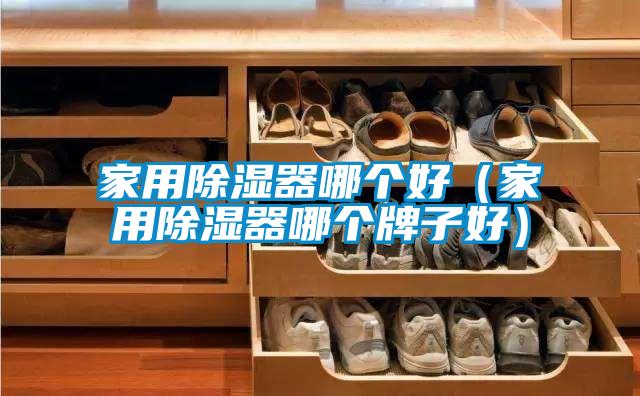 家用除濕器哪個好（家用除濕器哪個牌子好）