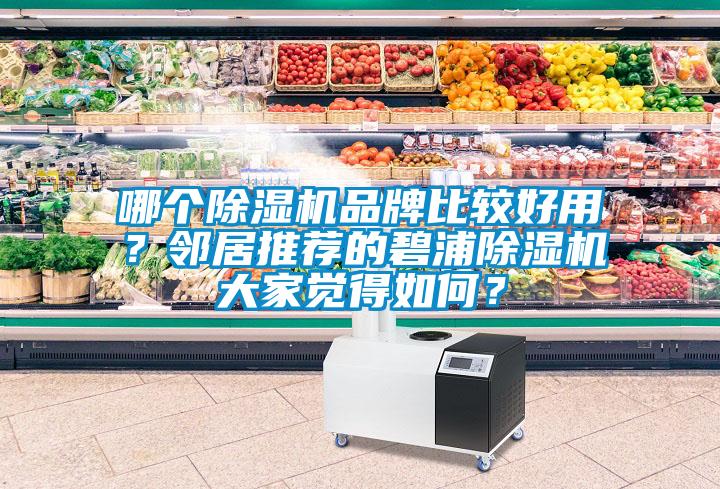 哪個除濕機品牌比較好用？鄰居推薦的碧浦除濕機大家覺得如何？