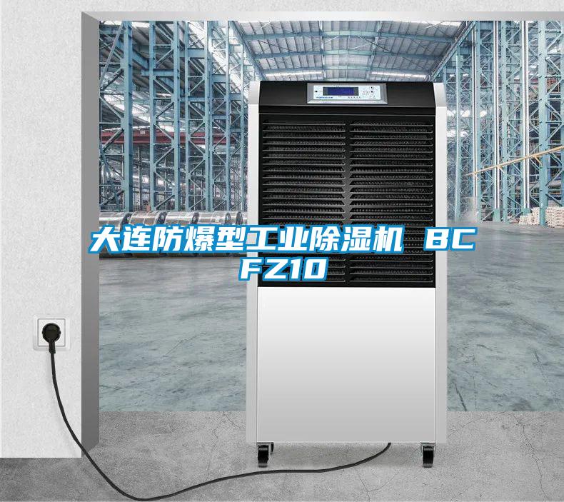 大連防爆型工業除濕機 BCFZ10