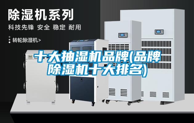 十大抽濕機品牌(品牌除濕機十大排名)