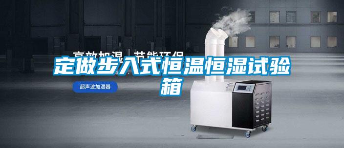 定做步入式恒溫恒濕試驗箱