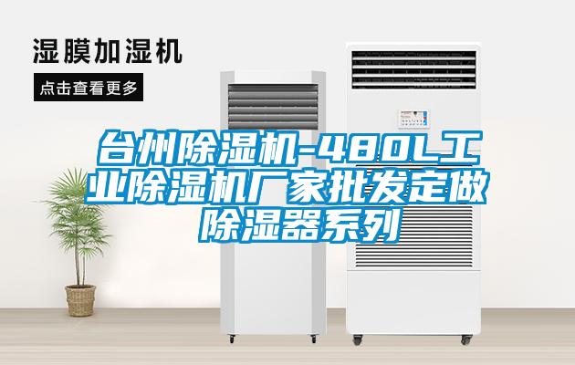 臺州除濕機-480L工業除濕機廠家批發定做 除濕器系列