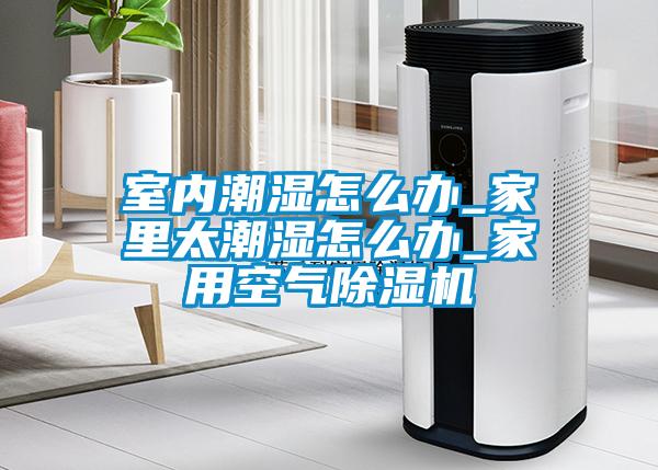 室內(nèi)潮濕怎么辦_家里太潮濕怎么辦_家用空氣除濕機(jī)