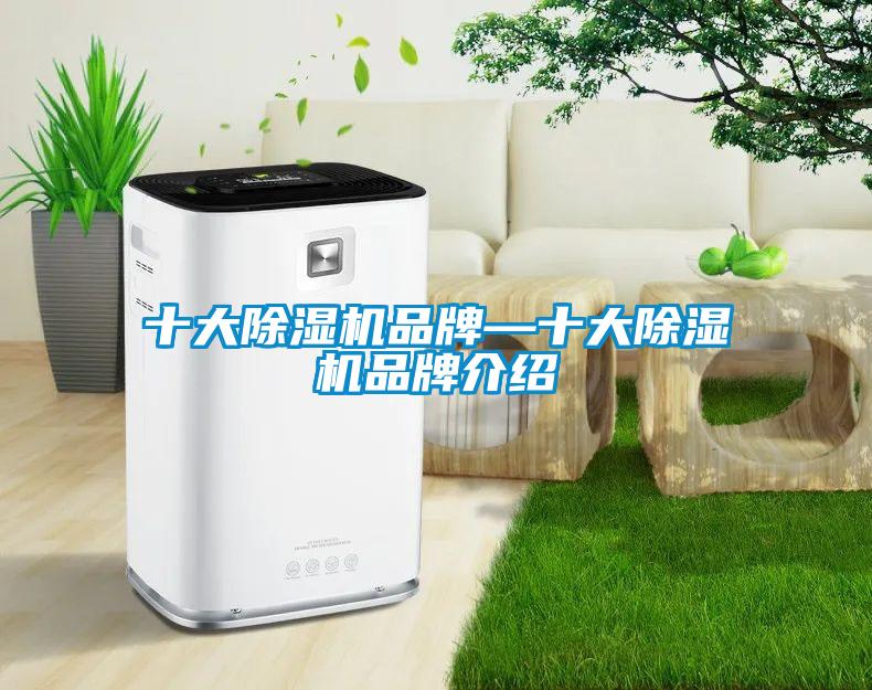 十大除濕機(jī)品牌—十大除濕機(jī)品牌介紹