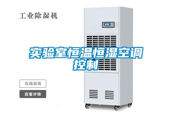 實驗室恒溫恒濕空調控制