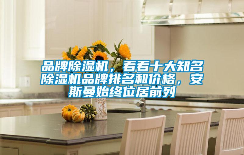 品牌除濕機(jī)，看看十大知名除濕機(jī)品牌排名和價(jià)格，安斯曼始終位居前列