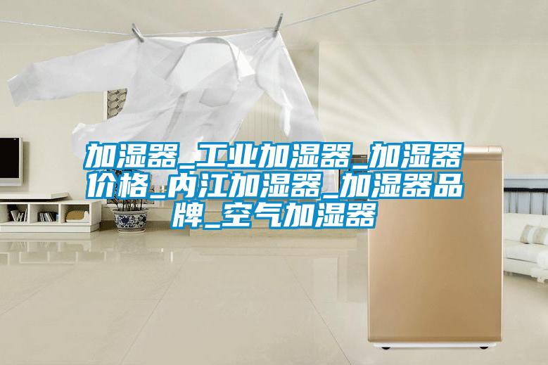 加濕器_工業加濕器_加濕器價格_內江加濕器_加濕器品牌_空氣加濕器