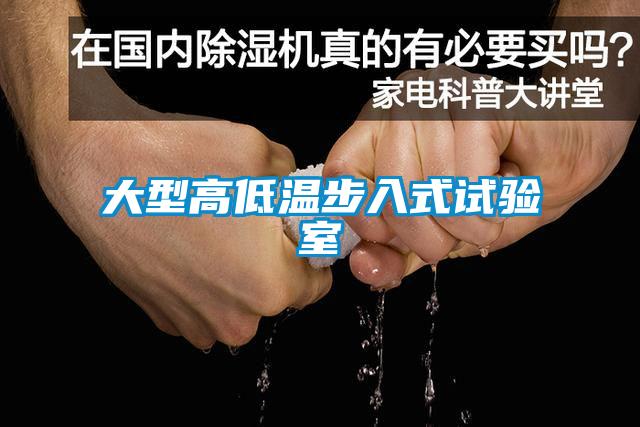 大型高低溫步入式試驗(yàn)室