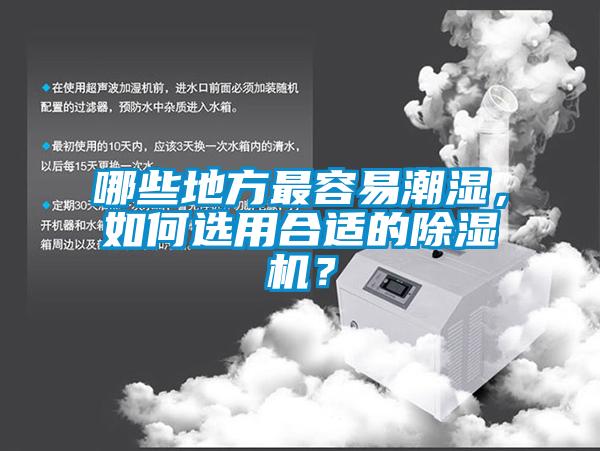 哪些地方最容易潮濕，如何選用合適的除濕機？
