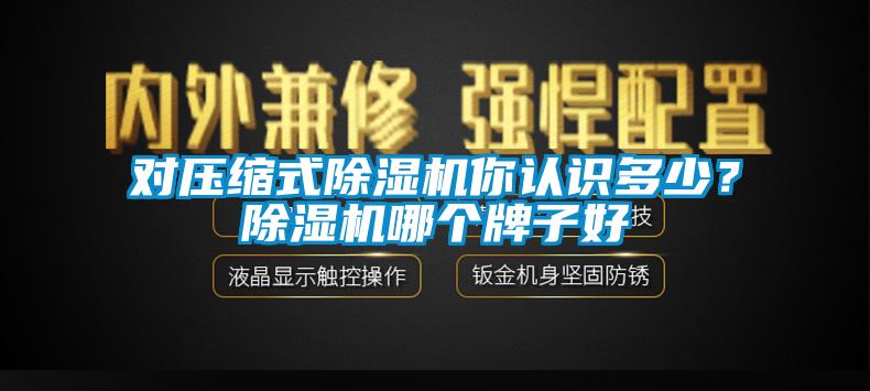 對壓縮式除濕機你認識多少？除濕機哪個牌子好