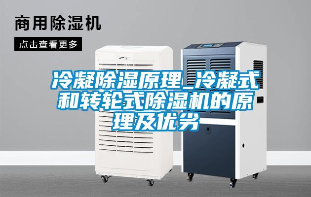 冷凝除濕原理_冷凝式和轉(zhuǎn)輪式除濕機(jī)的原理及優(yōu)劣
