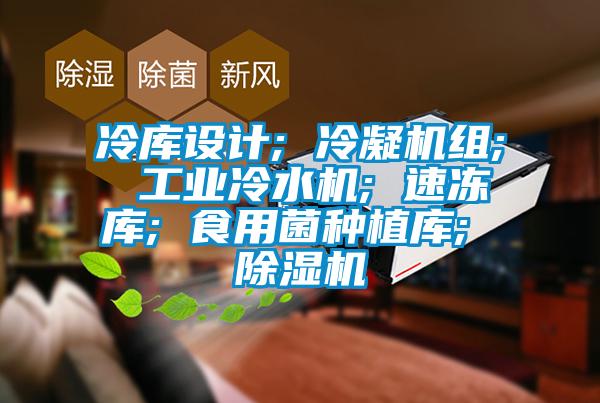 冷庫(kù)設(shè)計(jì); 冷凝機(jī)組; 工業(yè)冷水機(jī); 速凍庫(kù); 食用菌種植庫(kù); 除濕機(jī)