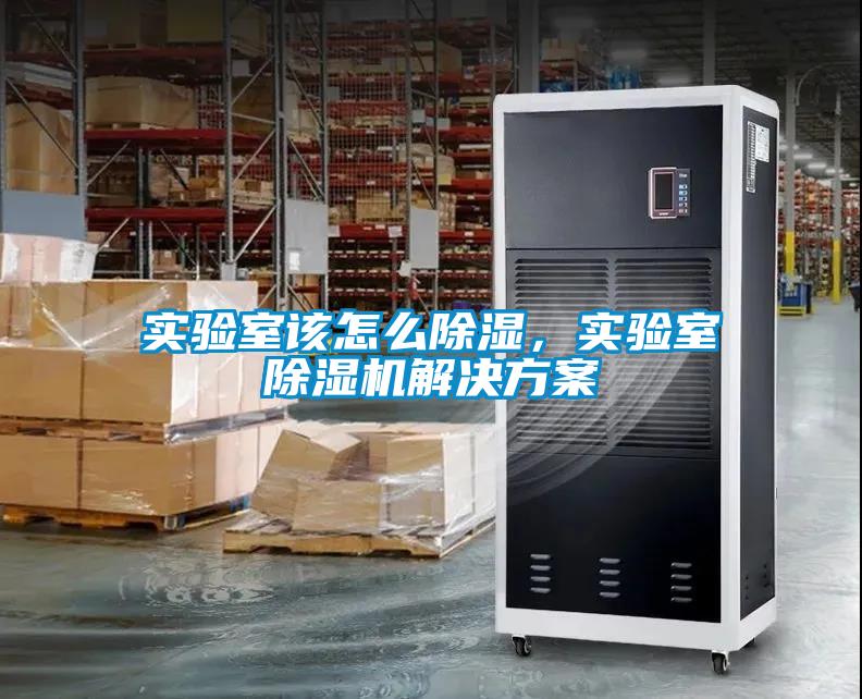 實驗室該怎么除濕，實驗室除濕機解決方案