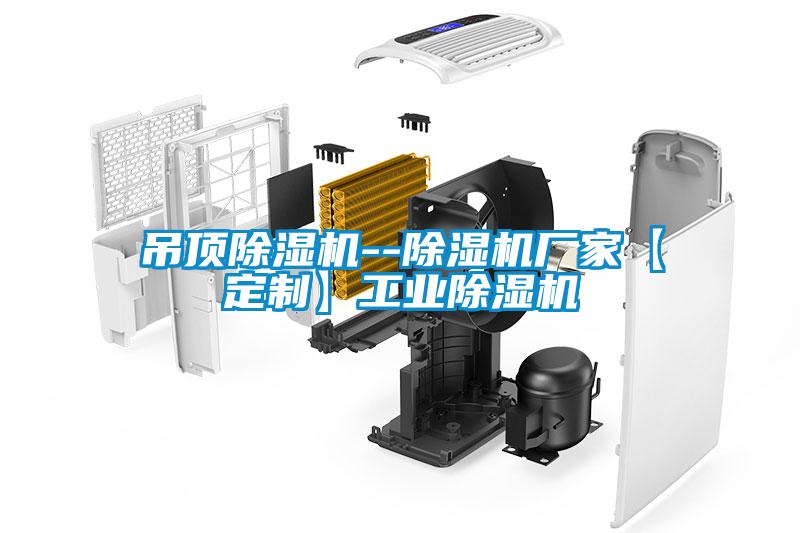 吊頂除濕機--除濕機廠家【定制】工業(yè)除濕機