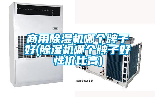 商用除濕機哪個牌子好(除濕機哪個牌子好性價比高)
