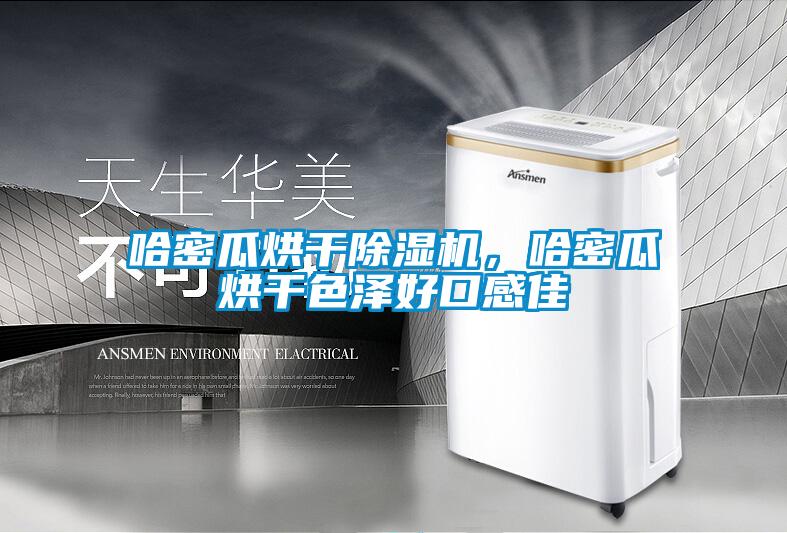 哈密瓜烘干除濕機，哈密瓜烘干色澤好口感佳