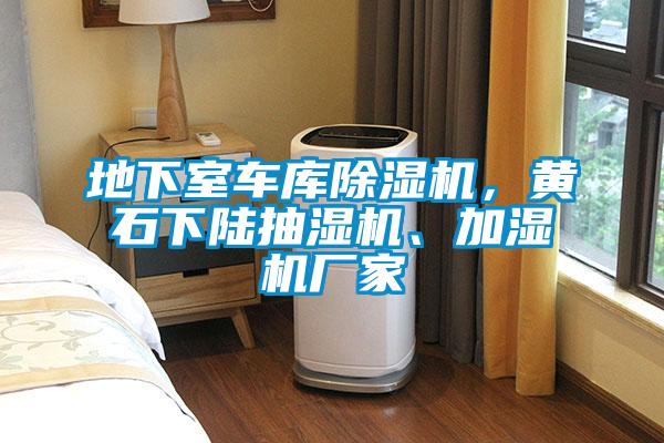 地下室車庫除濕機(jī)，黃石下陸抽濕機(jī)、加濕機(jī)廠家