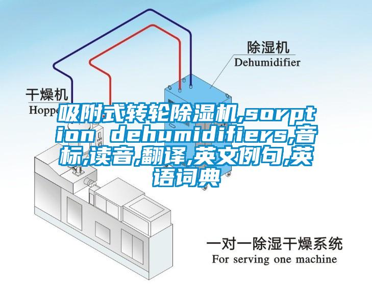 吸附式轉輪除濕機,sorption dehumidifiers,音標,讀音,翻譯,英文例句,英語詞典