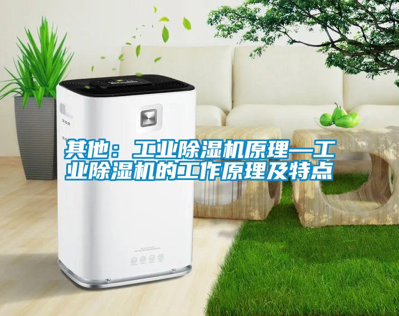 其他：工業(yè)除濕機原理—工業(yè)除濕機的工作原理及特點