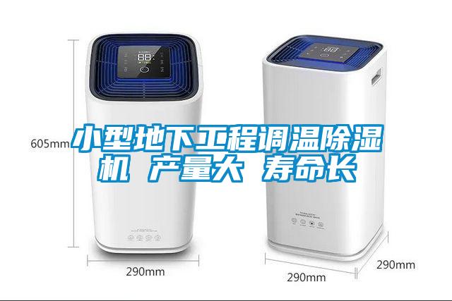 小型地下工程調(diào)溫除濕機(jī) 產(chǎn)量大 壽命長