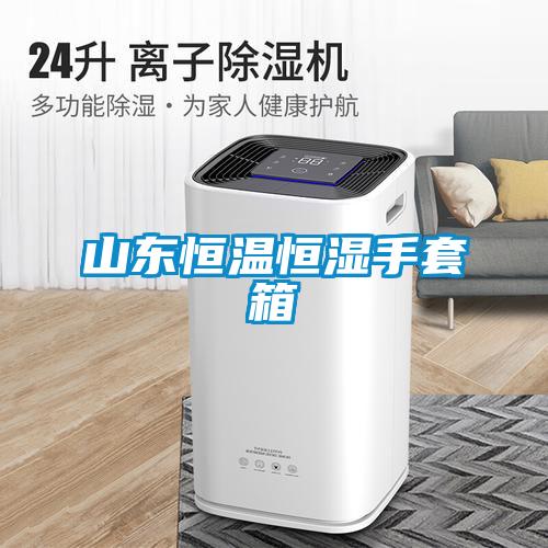 山東恒溫恒濕手套箱
