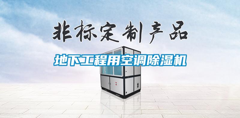 地下工程用空調(diào)除濕機(jī)