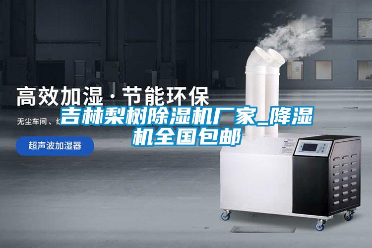 吉林梨樹除濕機廠家_降濕機全國包郵