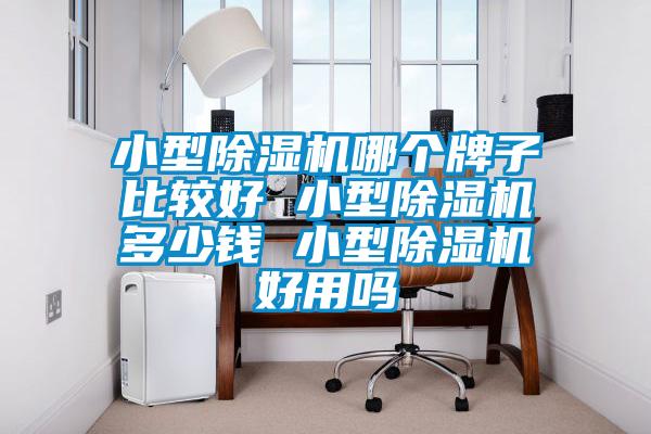 小型除濕機(jī)哪個(gè)牌子比較好 小型除濕機(jī)多少錢 小型除濕機(jī)好用嗎