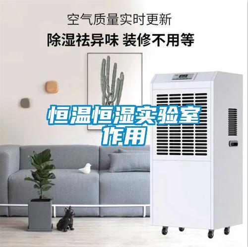 恒溫恒濕實驗室作用