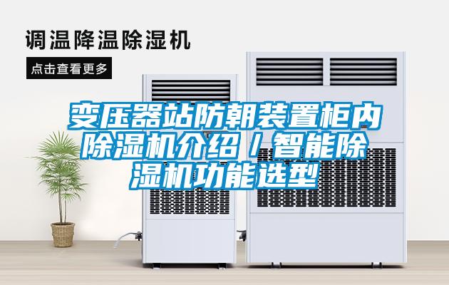 變壓器站防朝裝置柜內除濕機介紹／智能除濕機功能選型