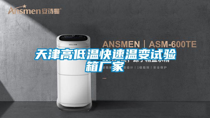 天津高低溫快速溫變試驗箱廠家