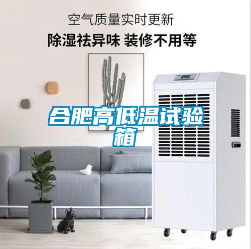 合肥高低溫試驗箱