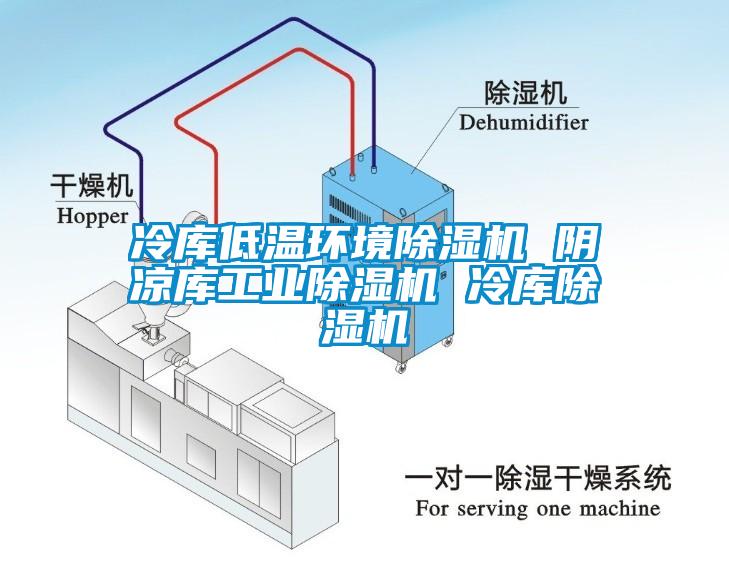 冷庫低溫環(huán)境除濕機(jī) 陰涼庫工業(yè)除濕機(jī) 冷庫除濕機(jī)