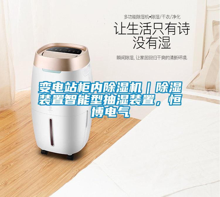 變電站柜內(nèi)除濕機(jī)｜除濕裝置智能型抽濕裝置，恒博電氣